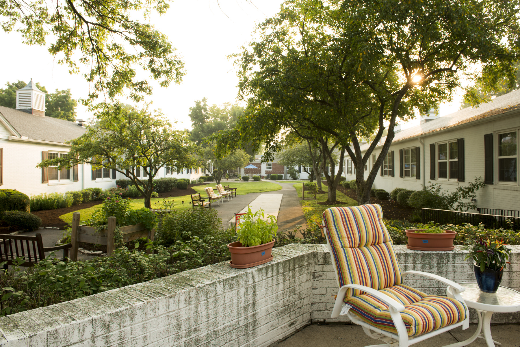 Maple Farm Court Yard