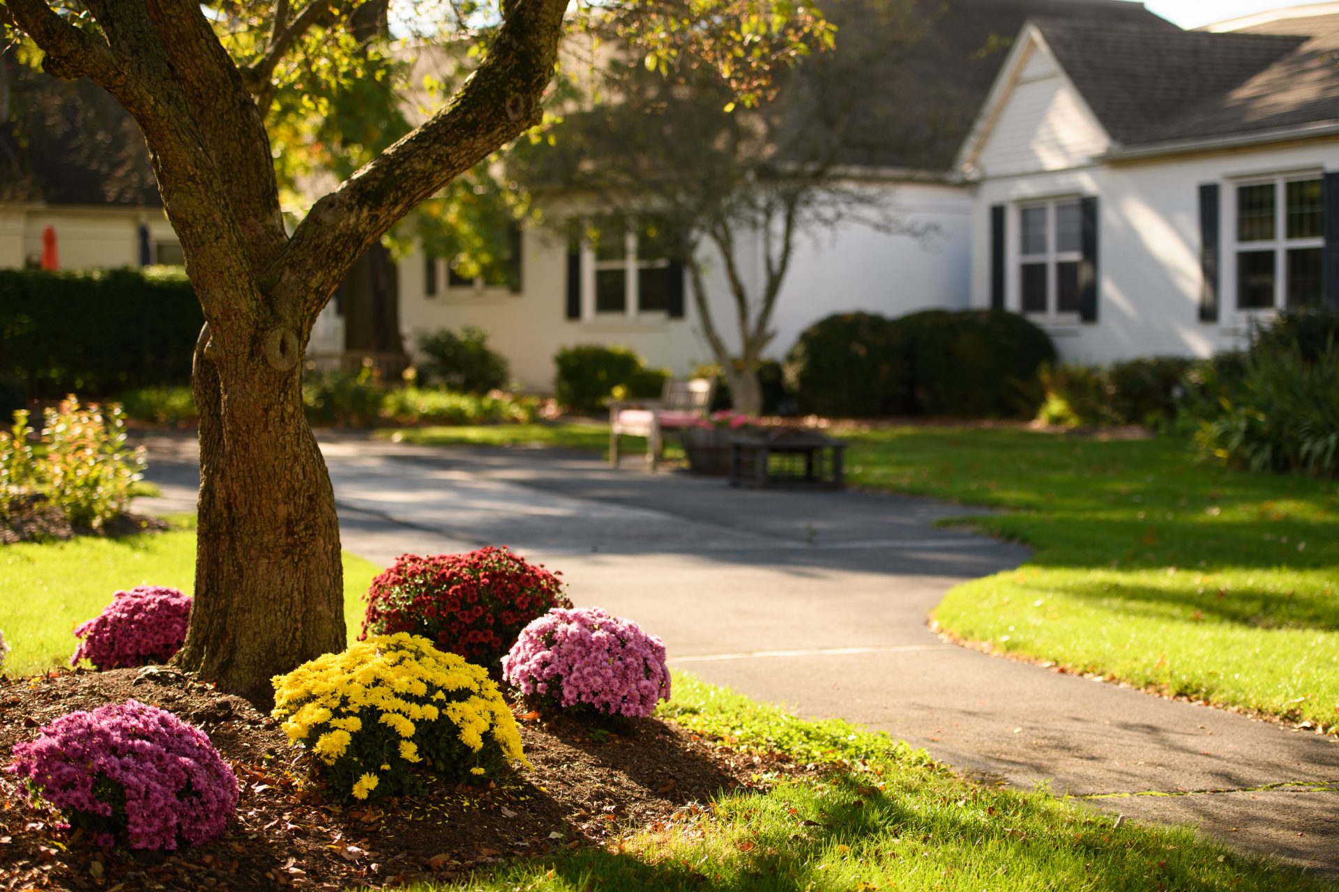 Maple Farm Courtyard in Autumn