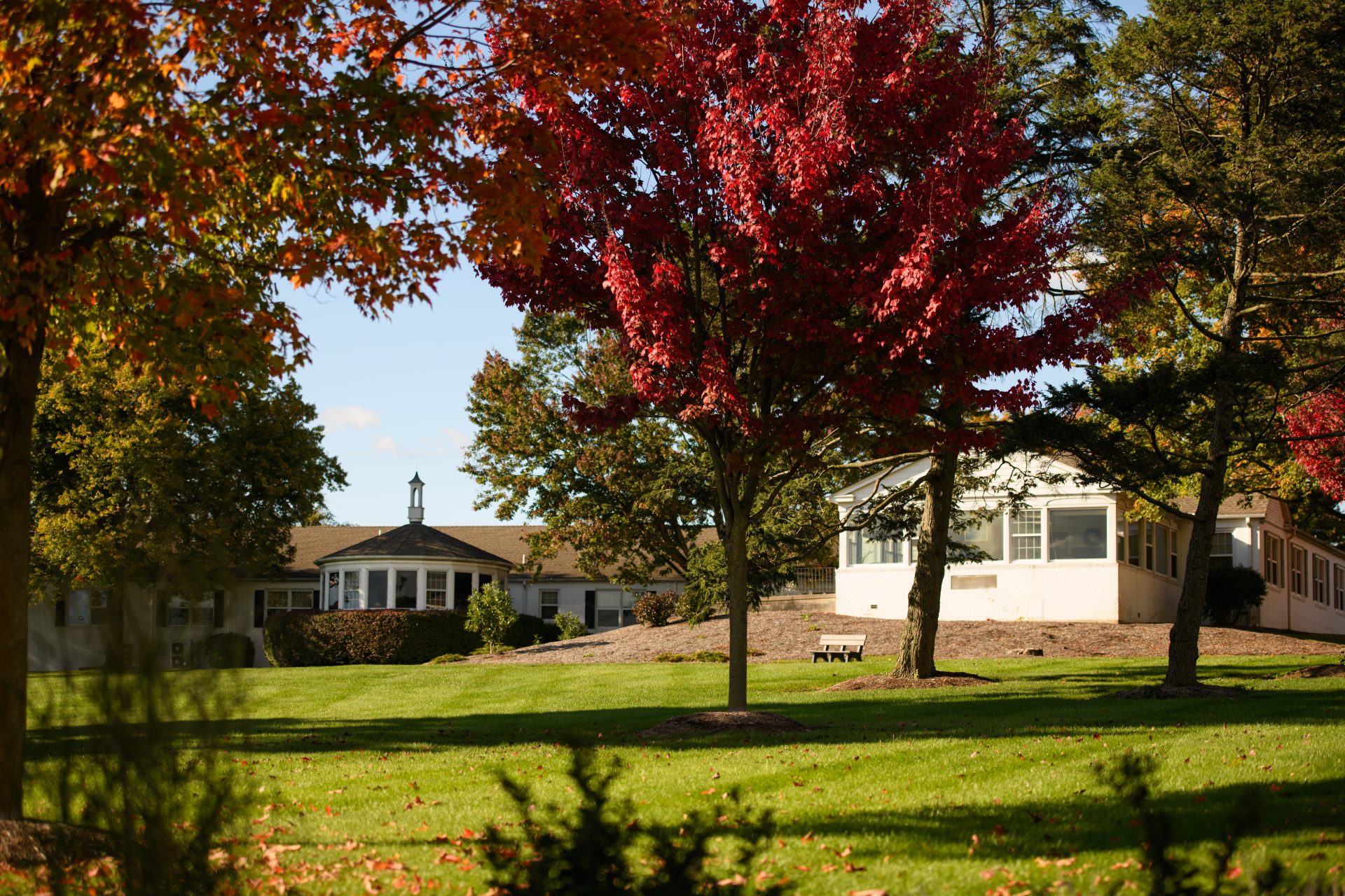 Maple Farm exterior in autumn